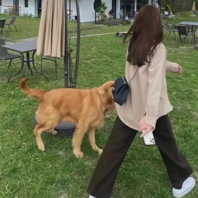 奇迹之宫